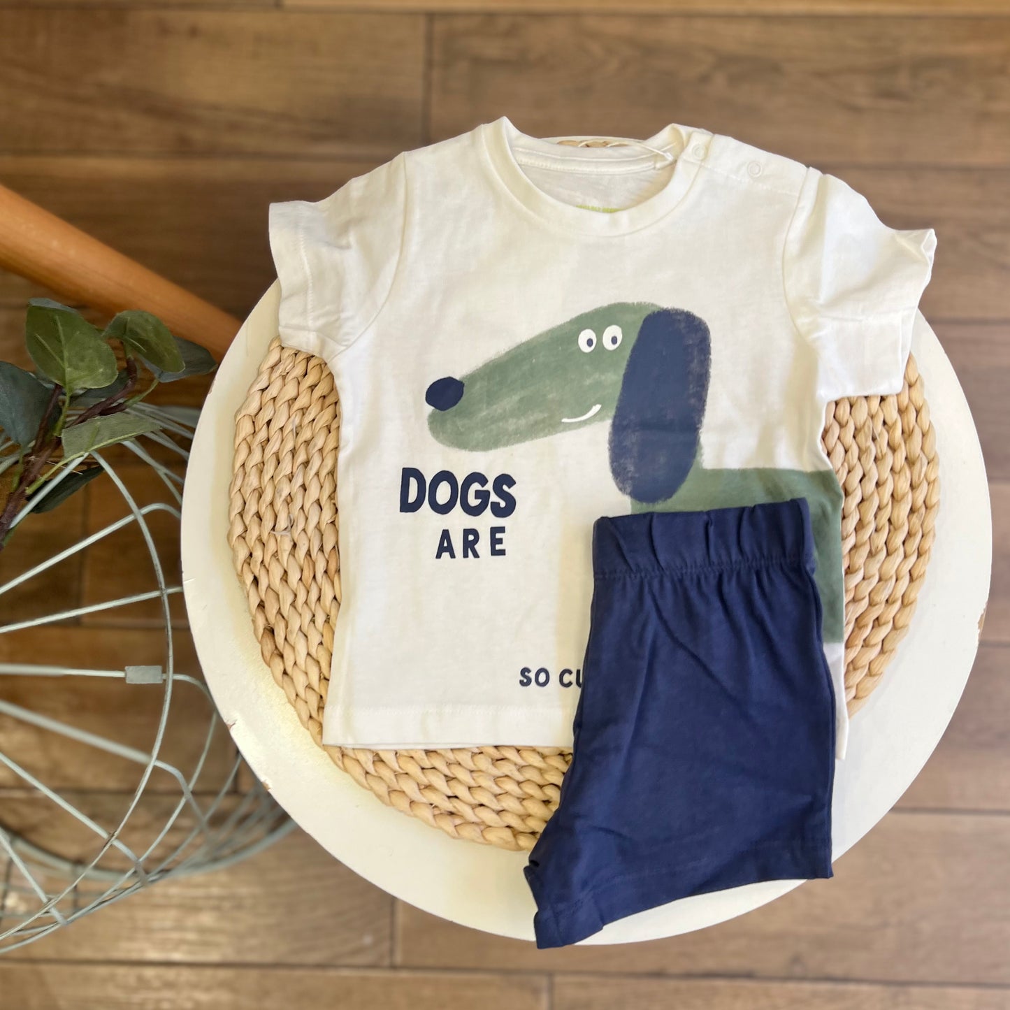 Completo Dogs