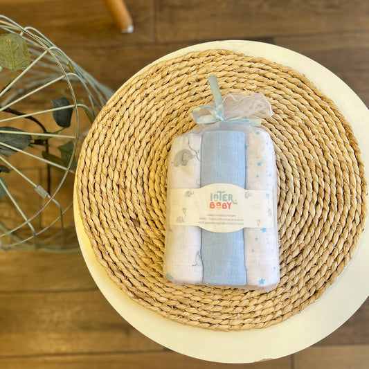 Set 3 quadrati Elefantini azzurri