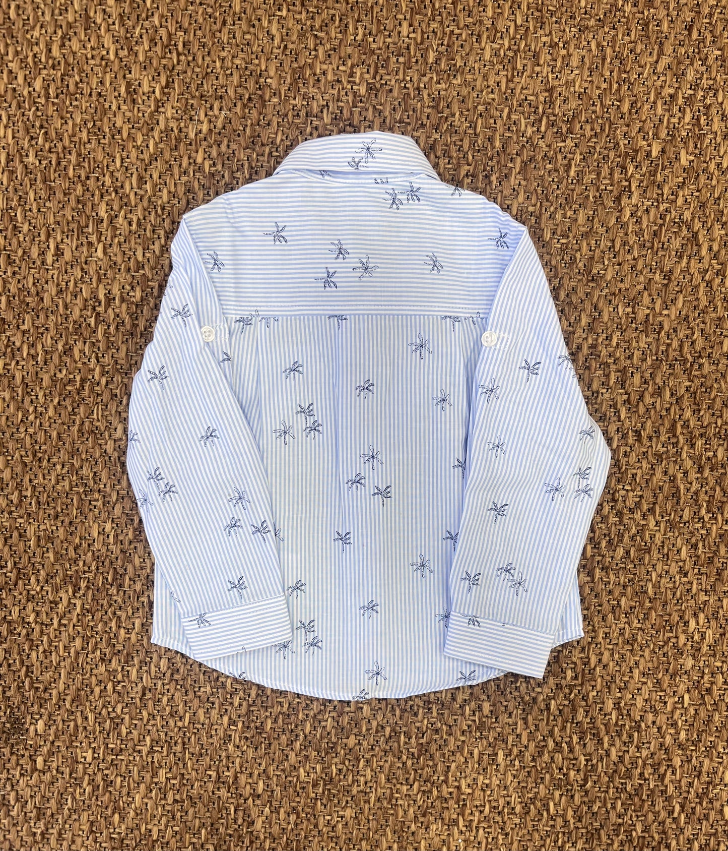 Camicia