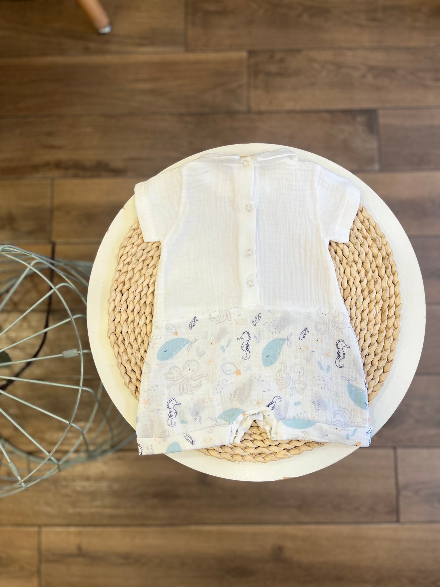 Pagliaccetto Sealife