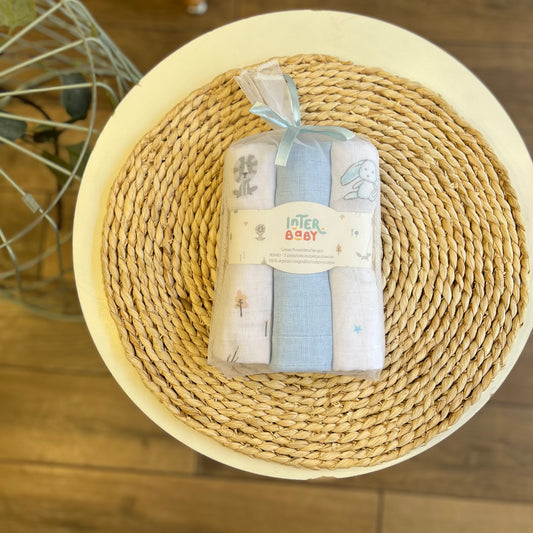 Set 3 quadrati Safari azzurro