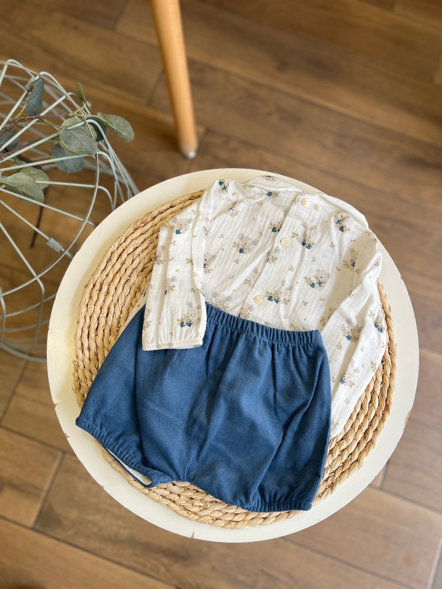 Completo invernale camicia, pantaloncino e cardigan