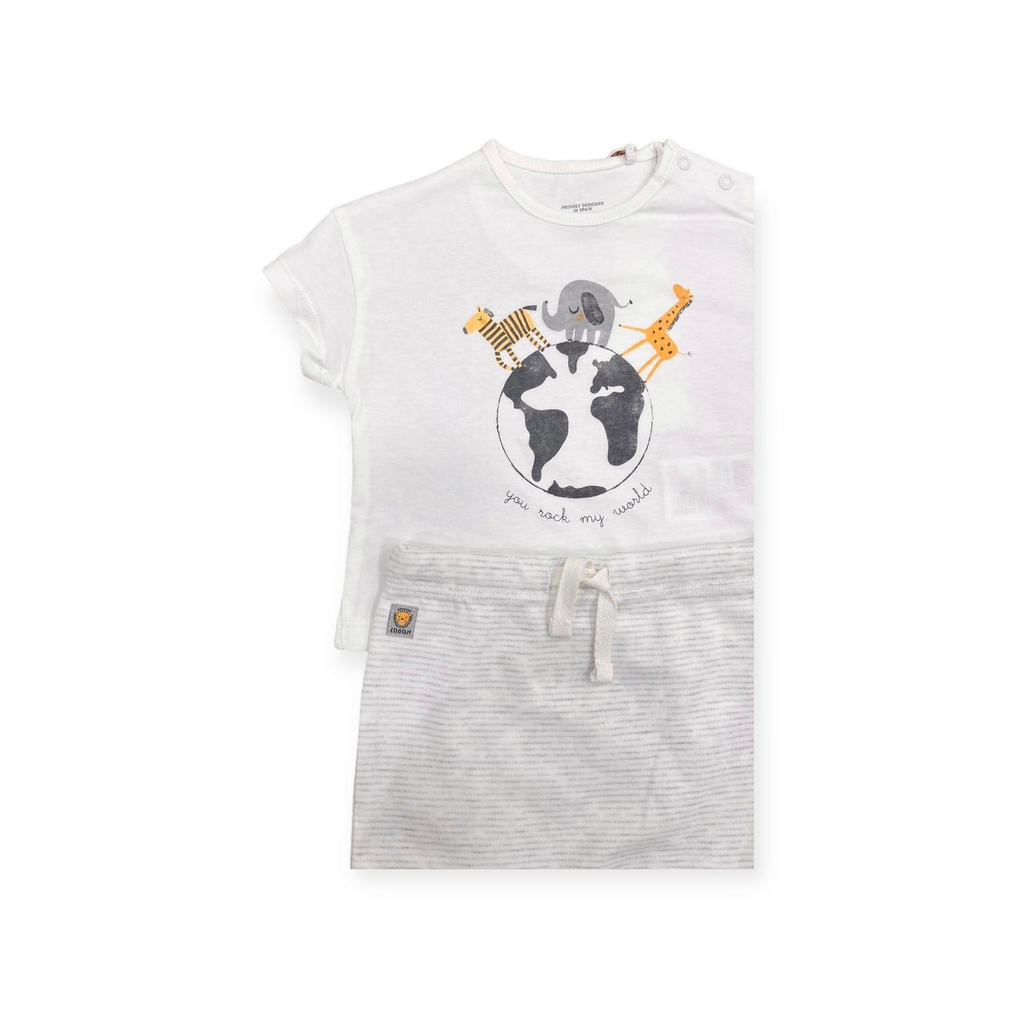 Completo lion