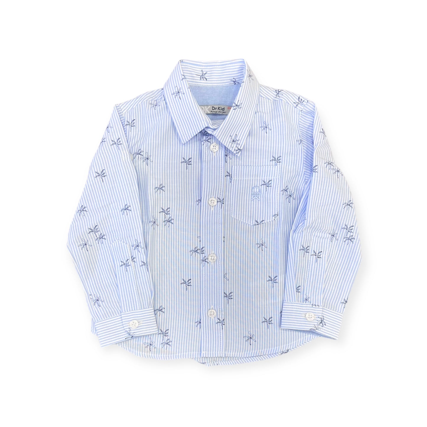 Camicia