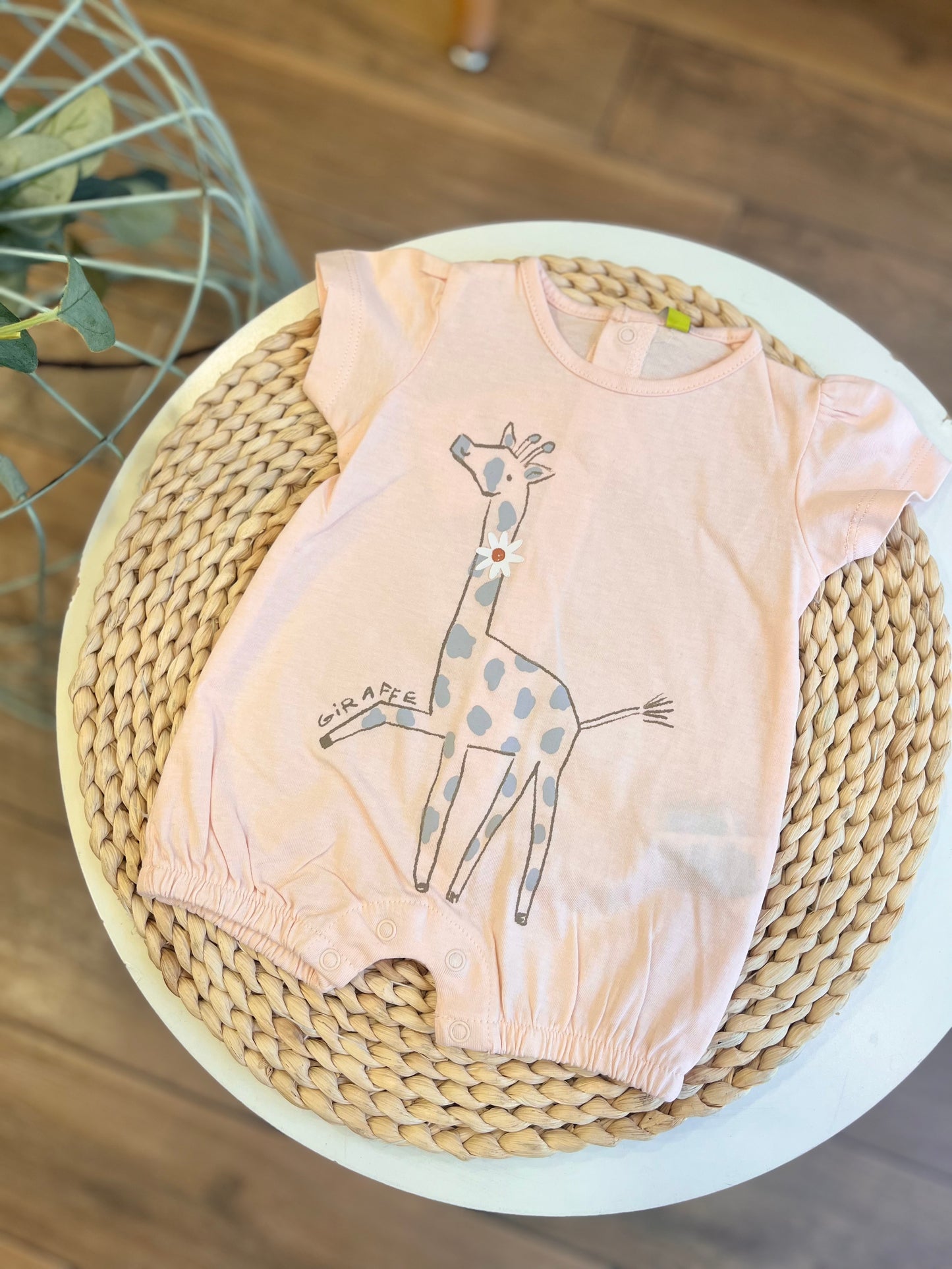 Pagliaccetto Giraffa