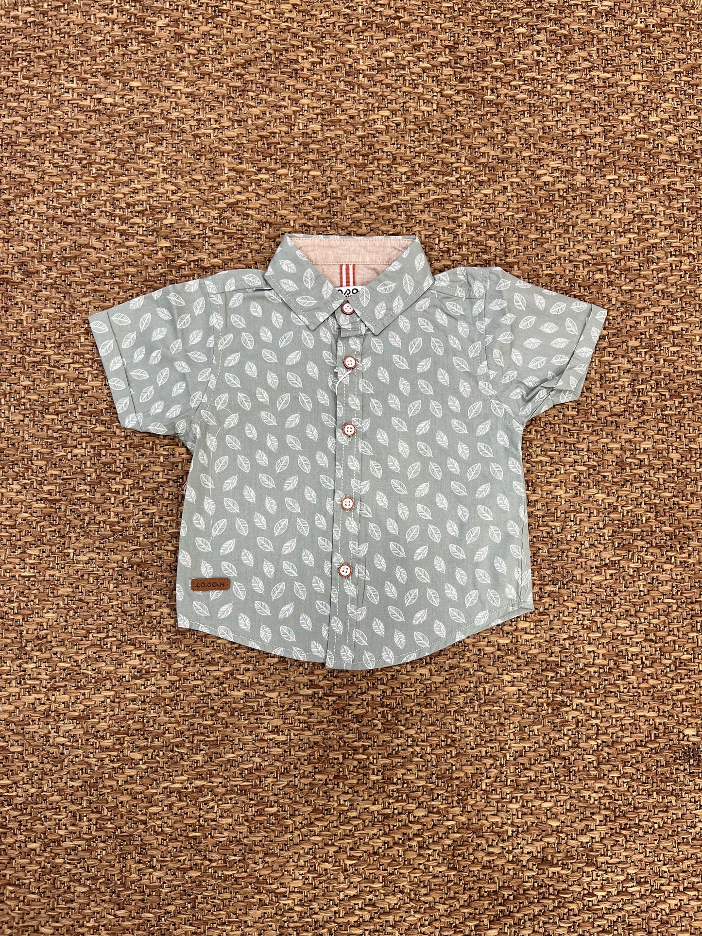 Camicia