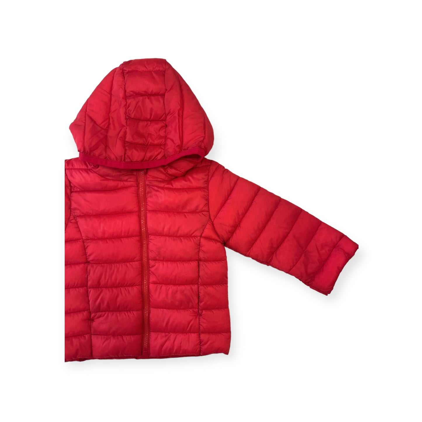 Giubbino 100 grammi Losan