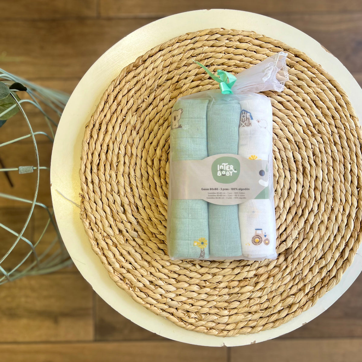Set 3 quadrati Koala verde