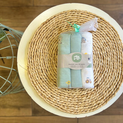 Set 3 quadrati Koala verde