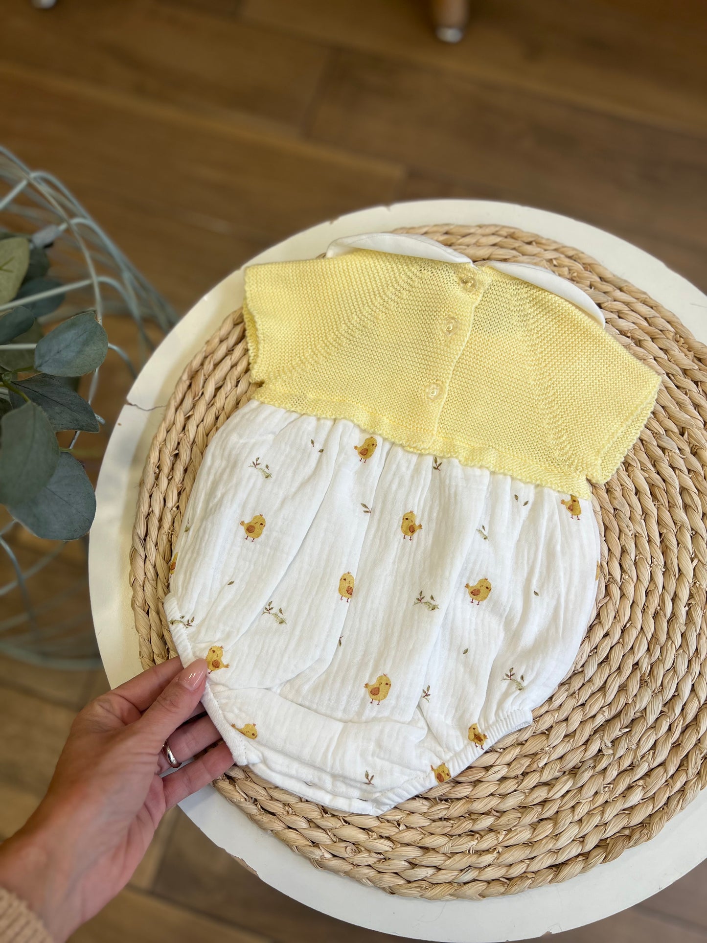 Pagliaccetto pulcini