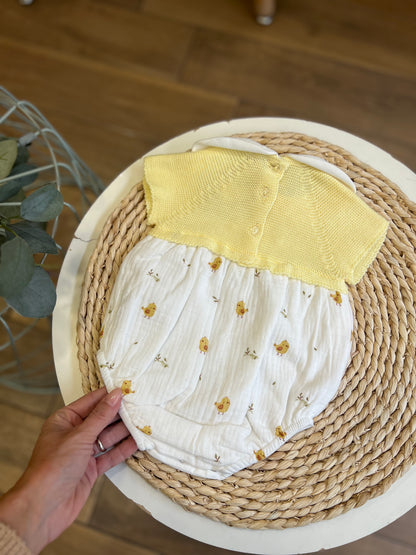 Pagliaccetto pulcini