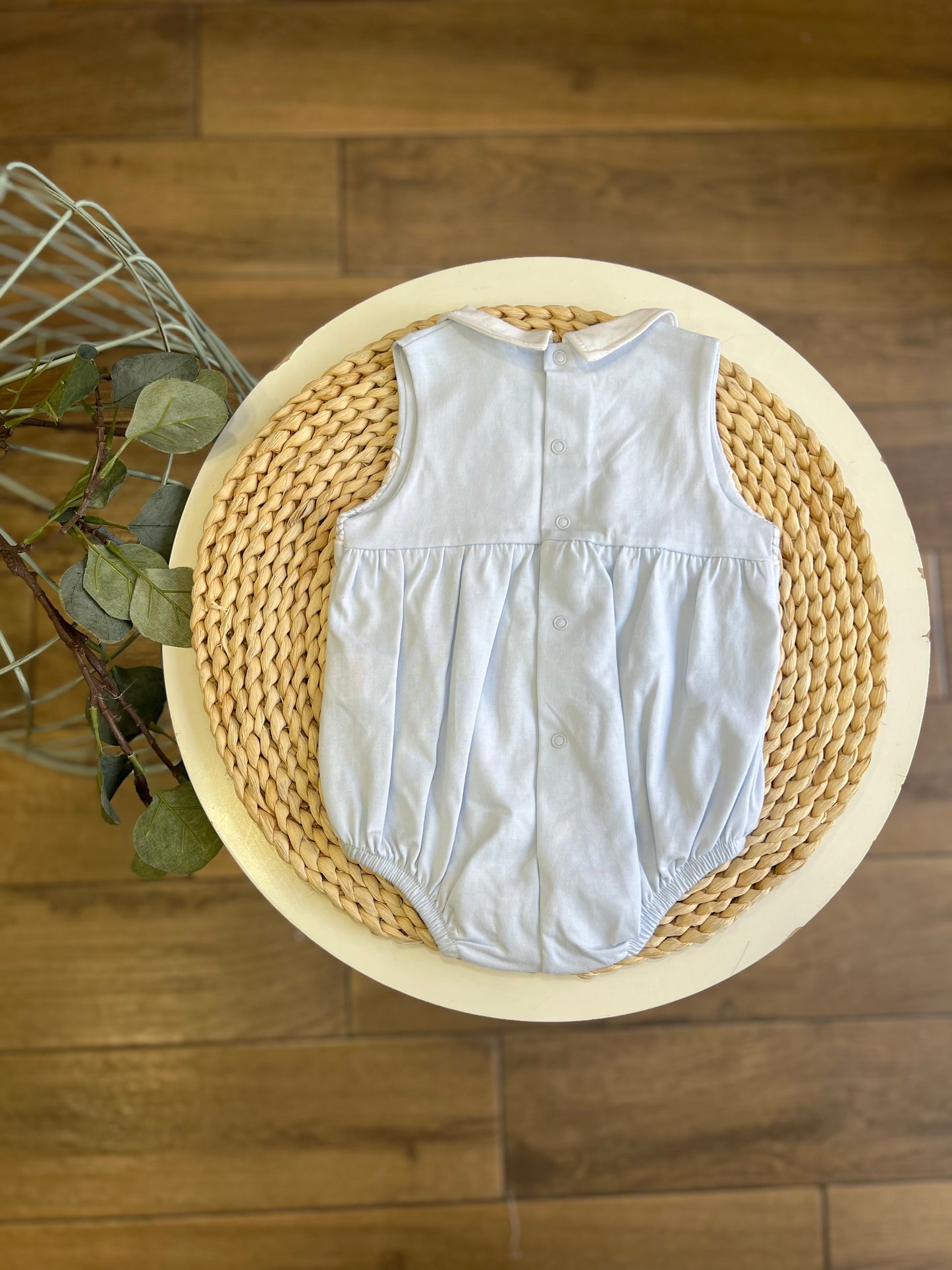 Pagliaccetto Cavalluccio