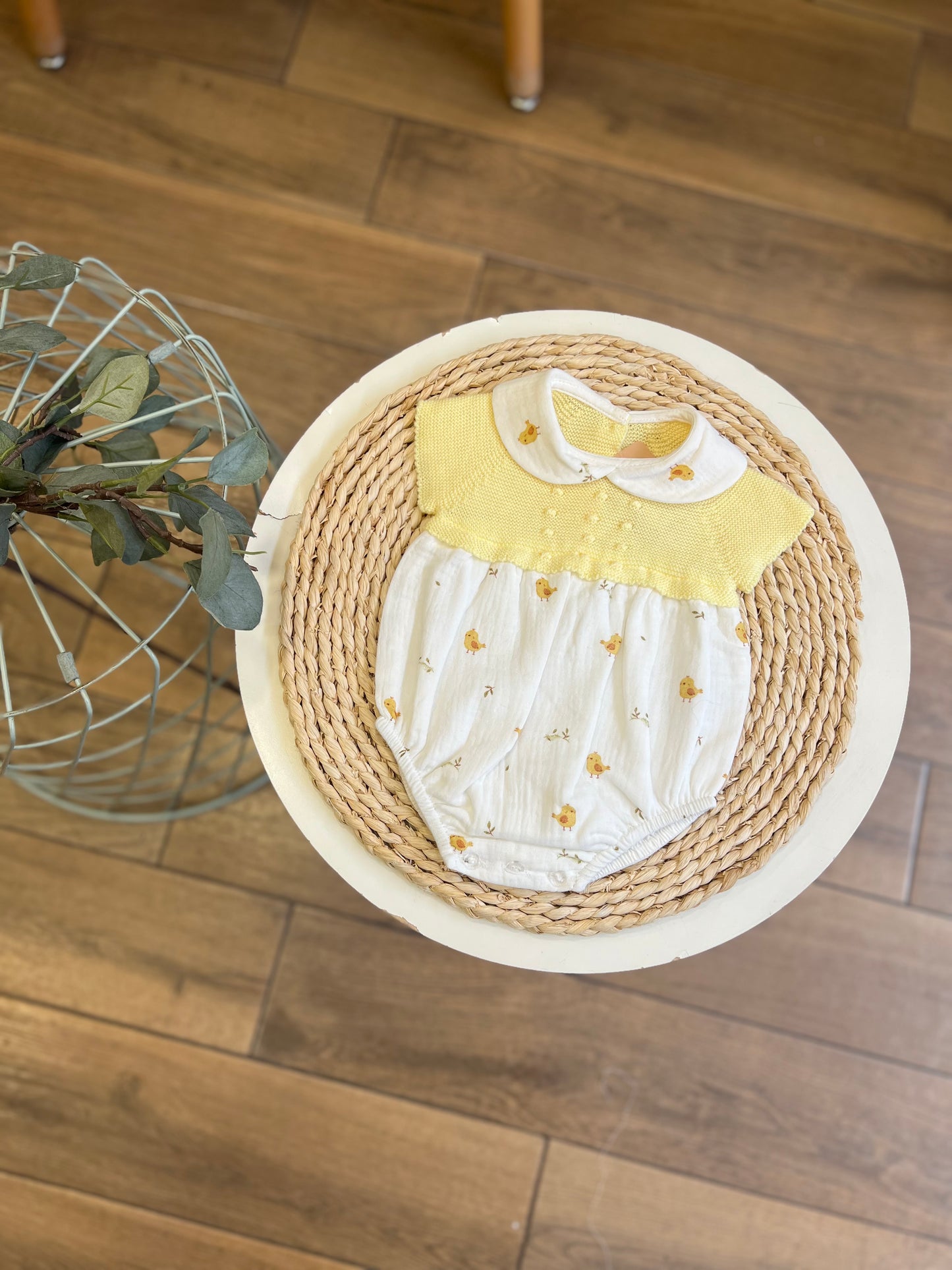 Pagliaccetto pulcini