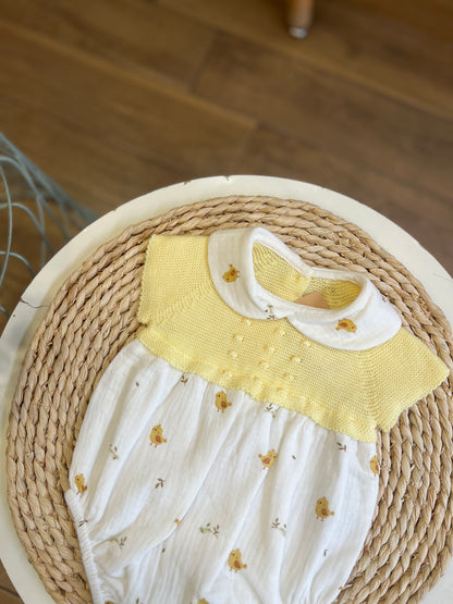 Pagliaccetto pulcini