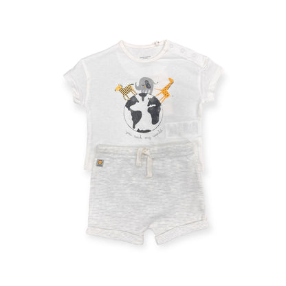 Completo lion