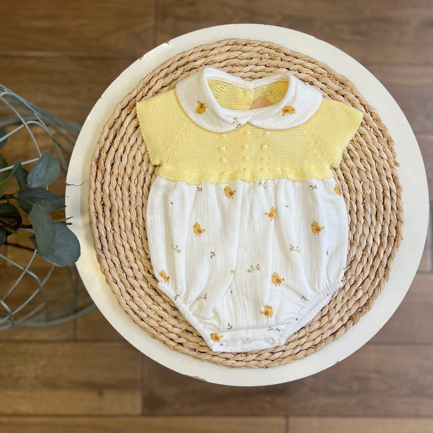 Pagliaccetto pulcini