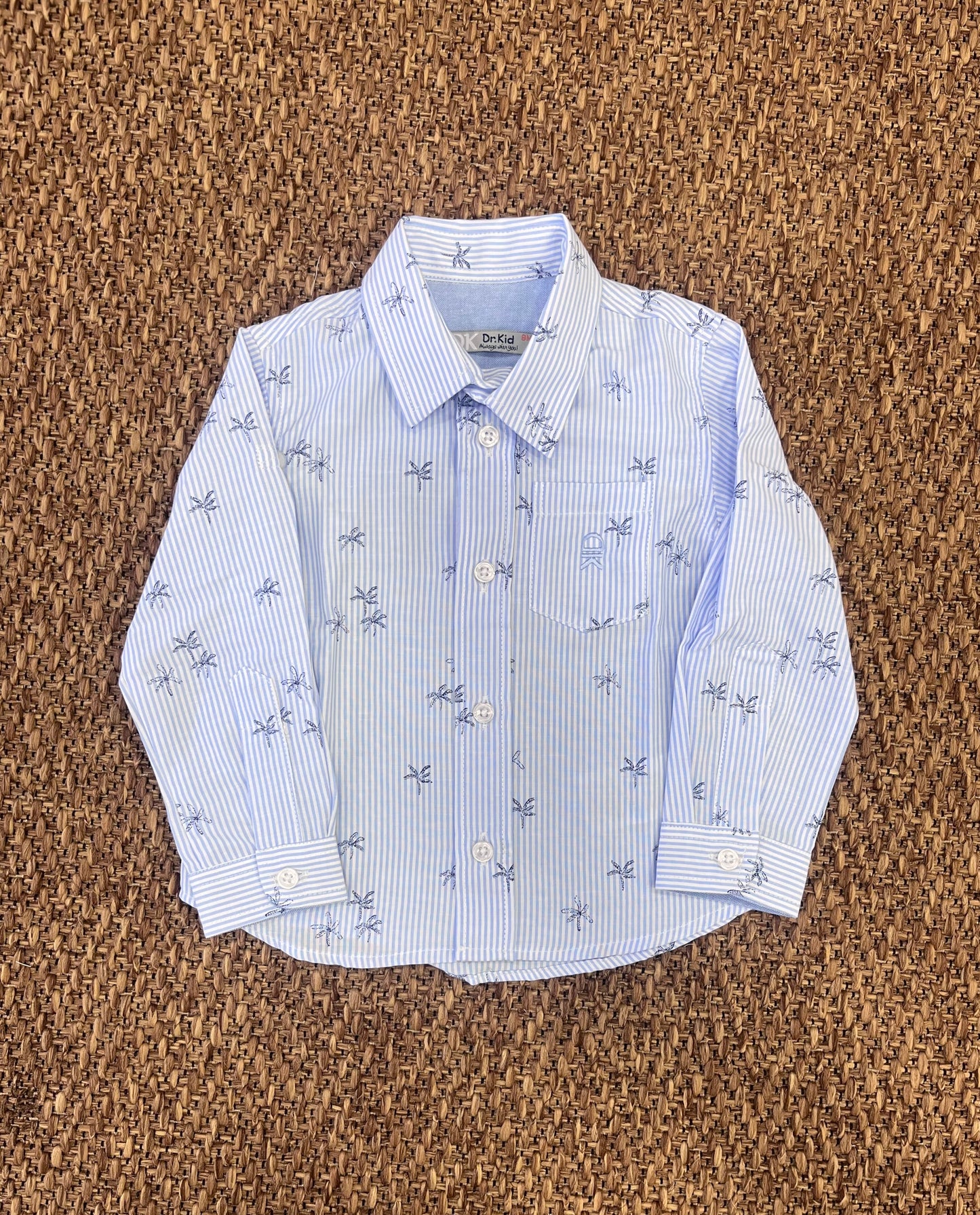 Camicia