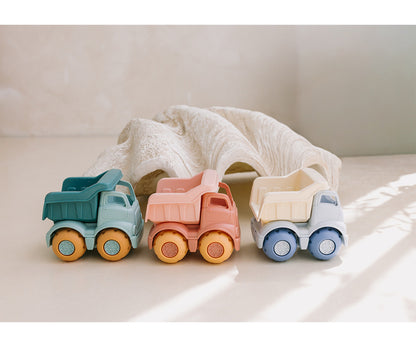 Set Spiaggia Monneka Wild Animals + Camioncino