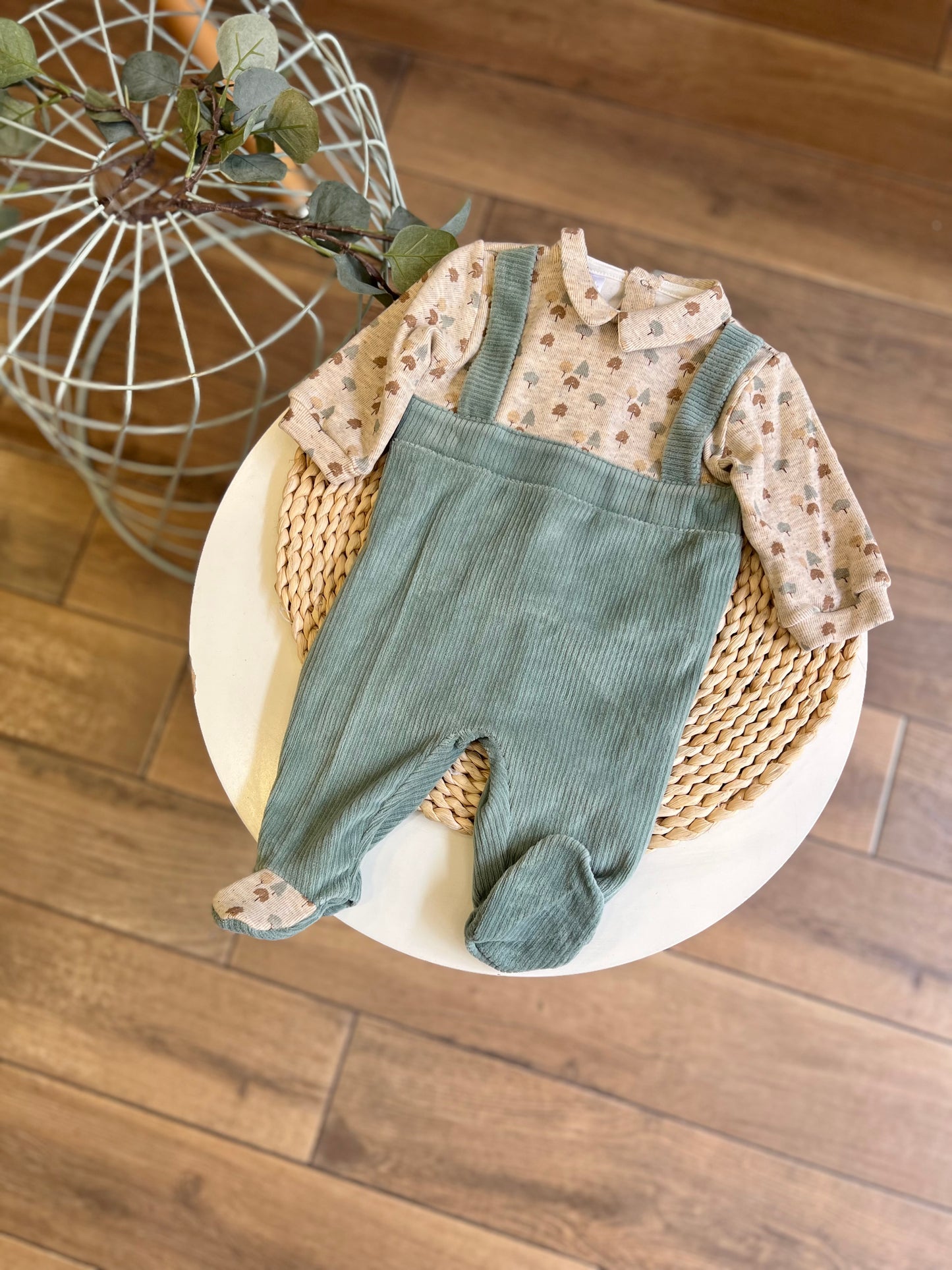 Tutina in ciniglia Wood