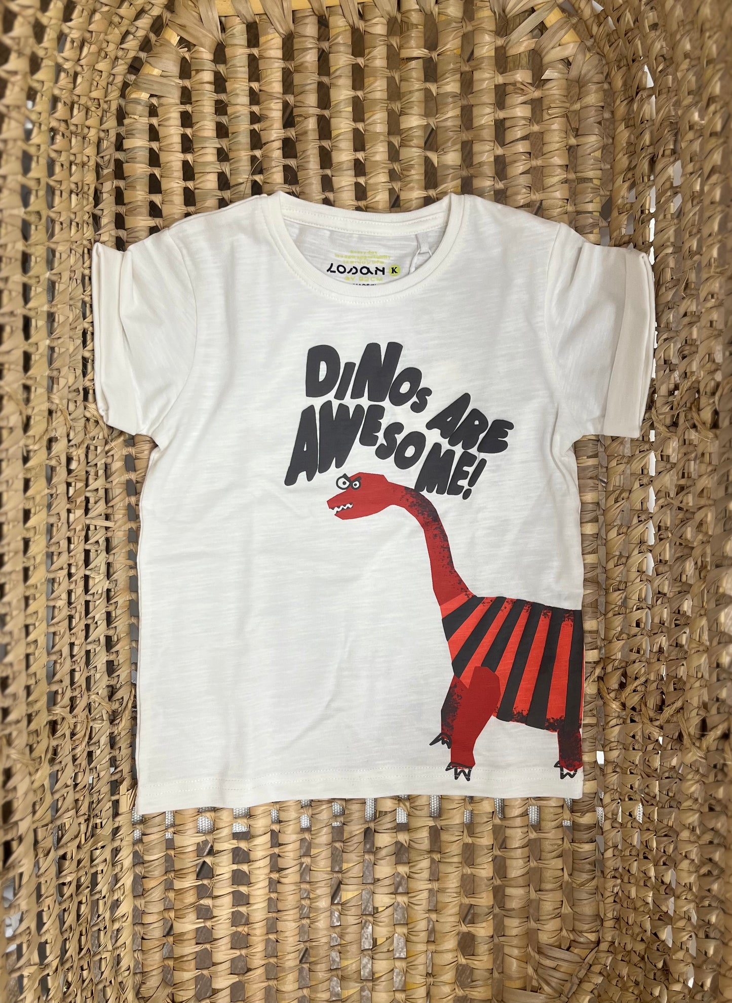 T Shirt Dino